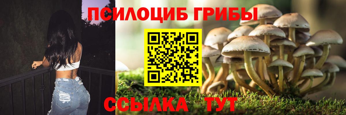 Псилоцибиновые грибы Magic Shrooms  Галлюциногенные грибы прущие грибы  Вход с VPN  Йошкар-Ола 